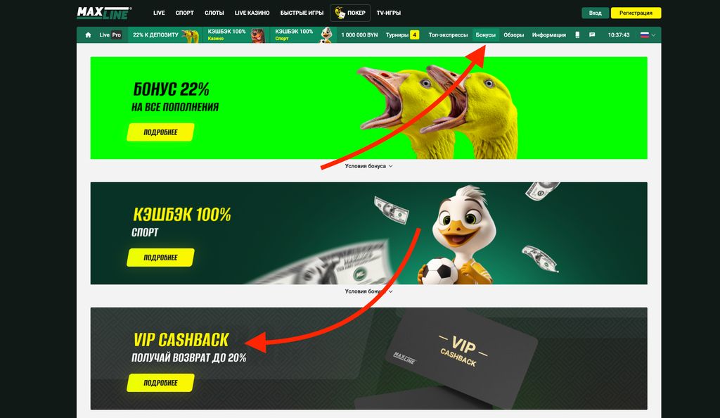 Программа кэшбэка на сайте Макслайн