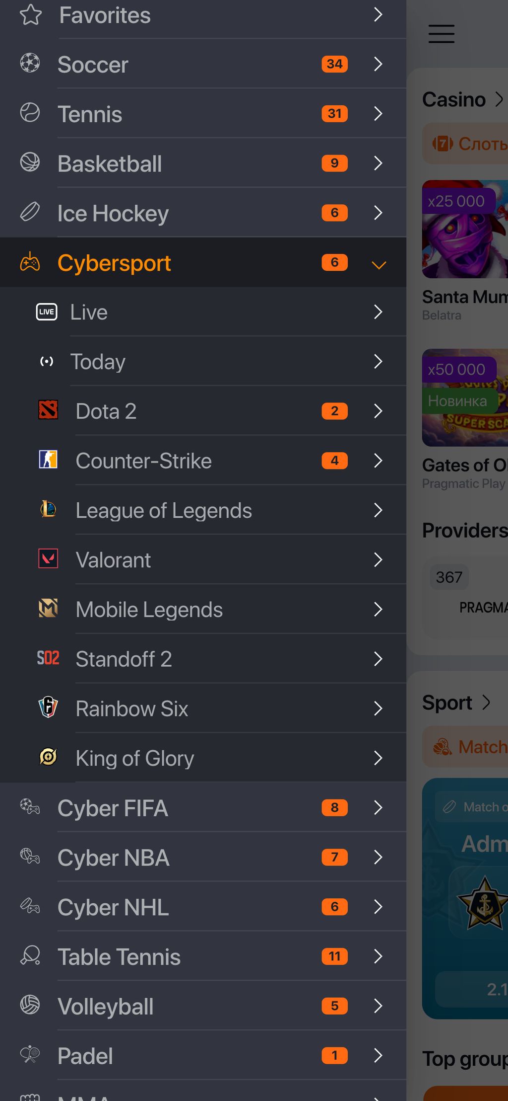 Ставки на КС2 в Винлайн