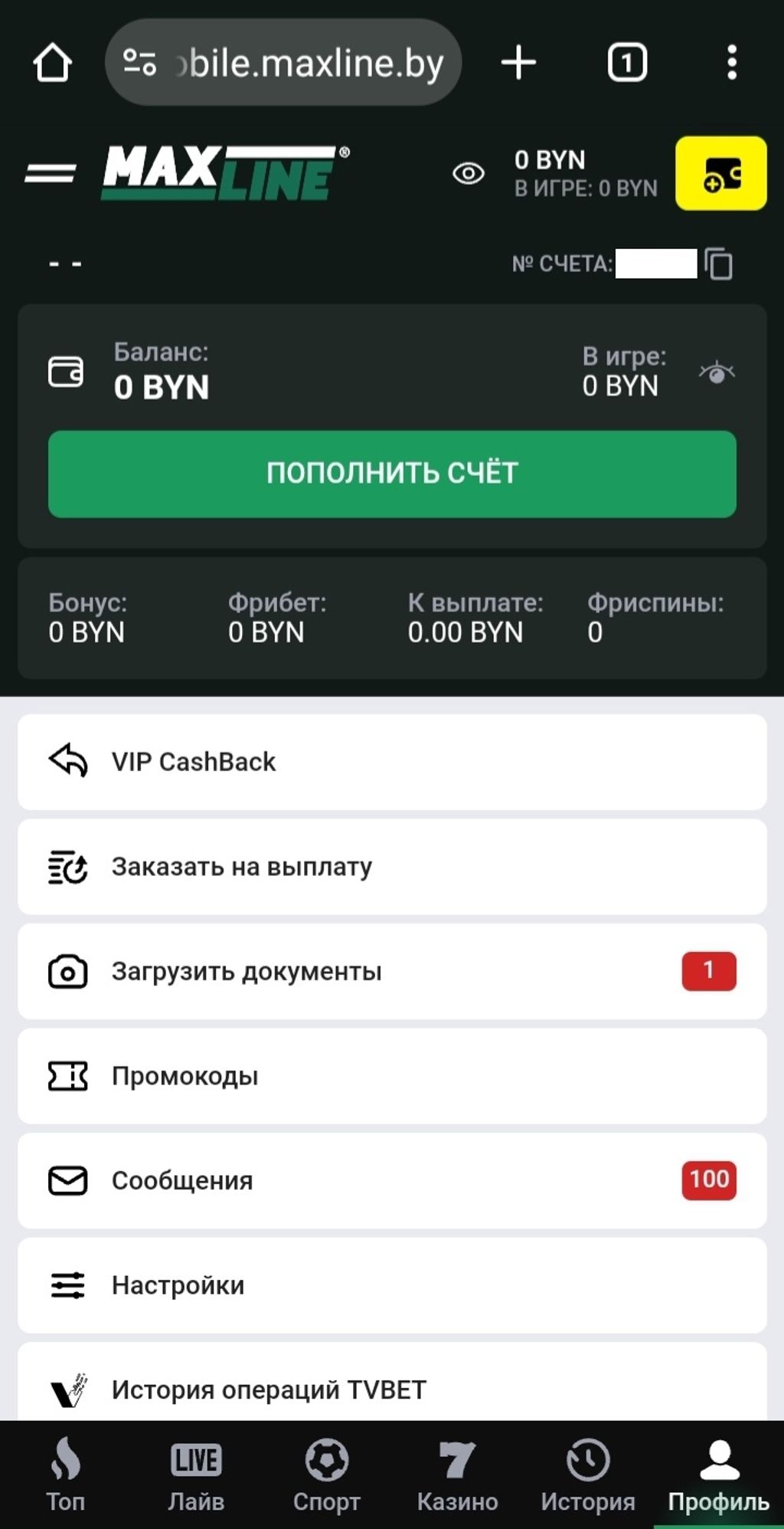 Личный кабинет в БК Макслайн