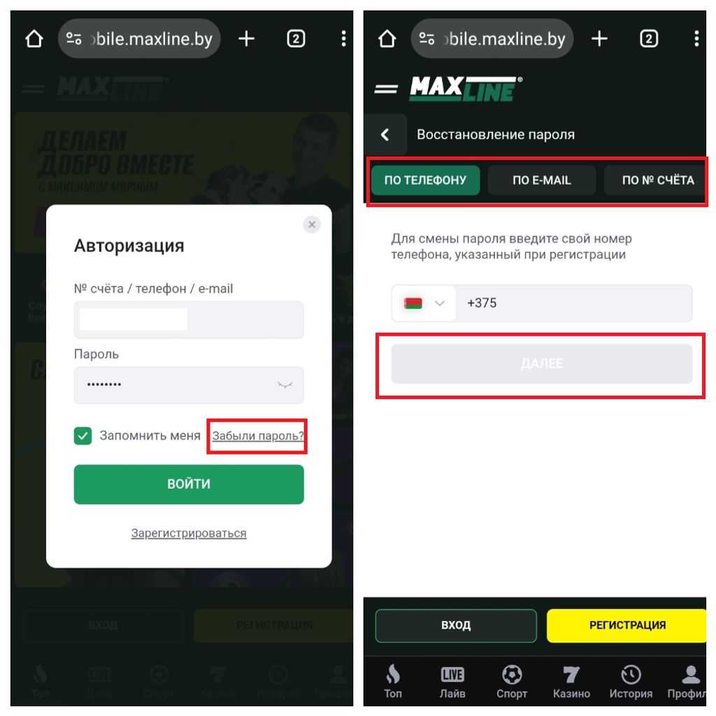 Форма восстановления пароля в Maxline