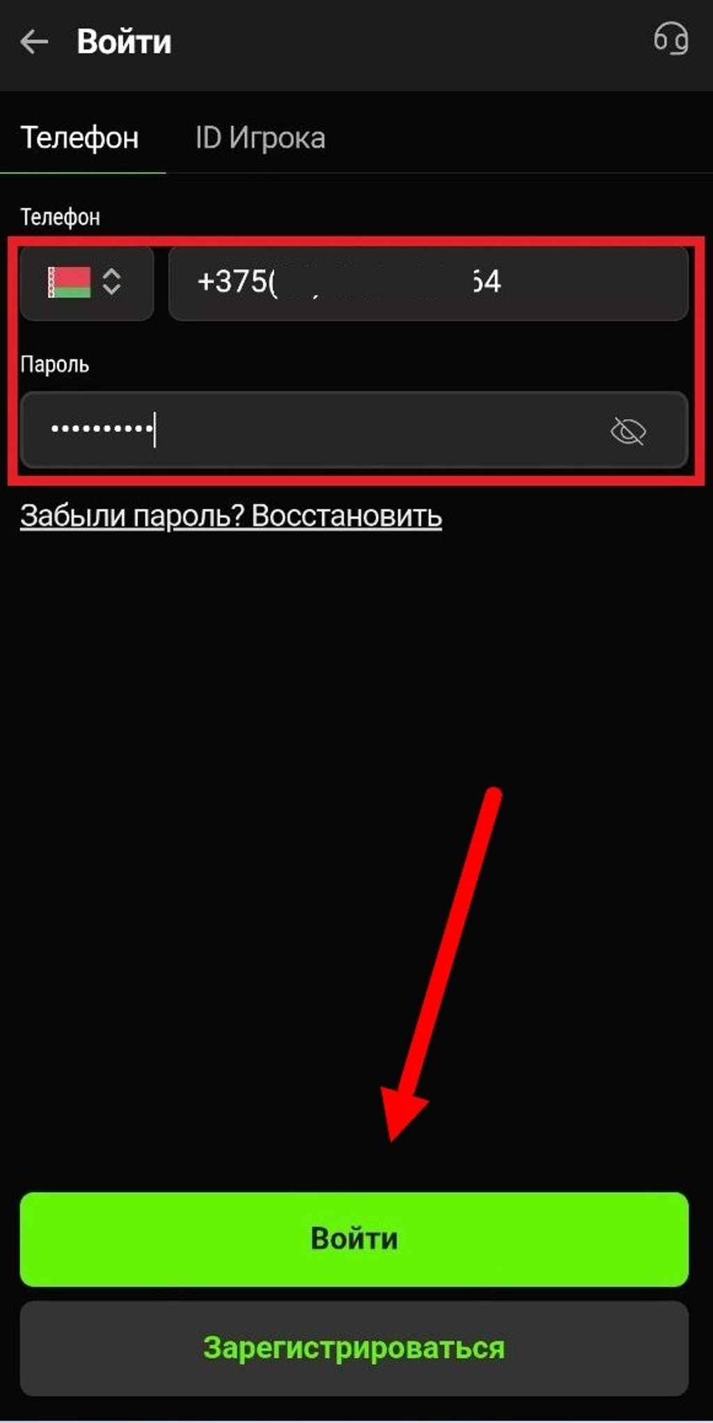 В соответствующие поля введены номер телефона и пароль – для авторизации осталось нажать «Войти»