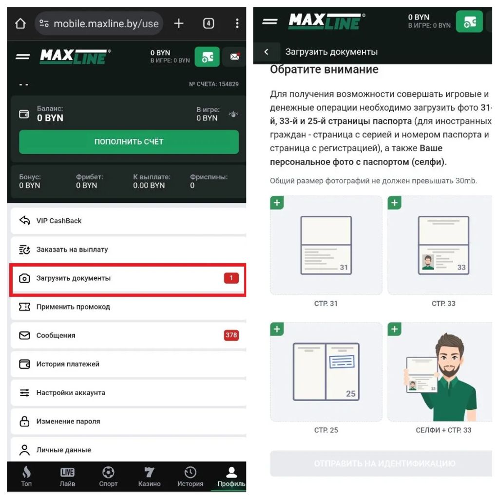 Прохождение идентификации в «Макслайн»