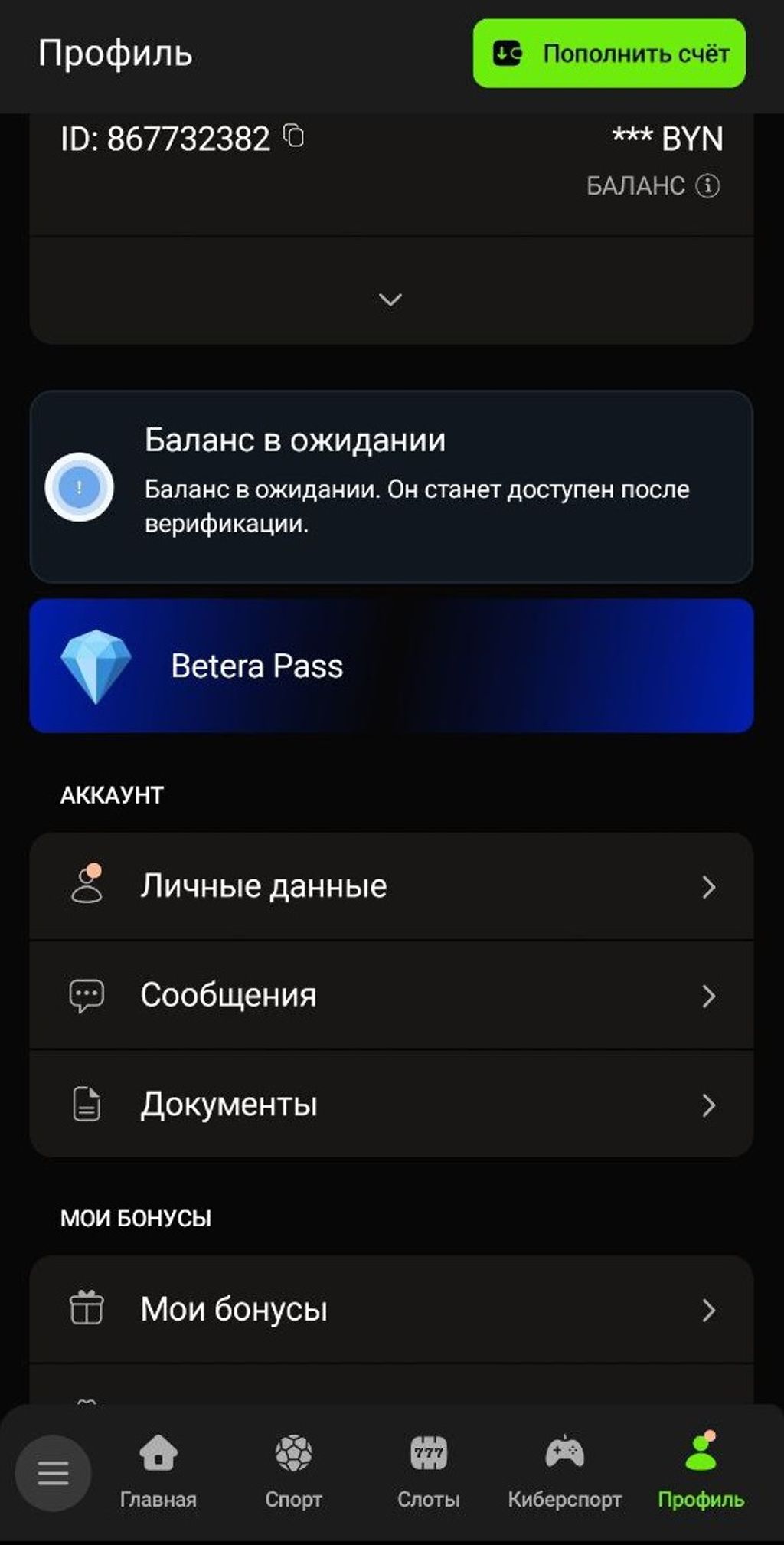 Интерфейс личного кабинета в софте «Бетера»