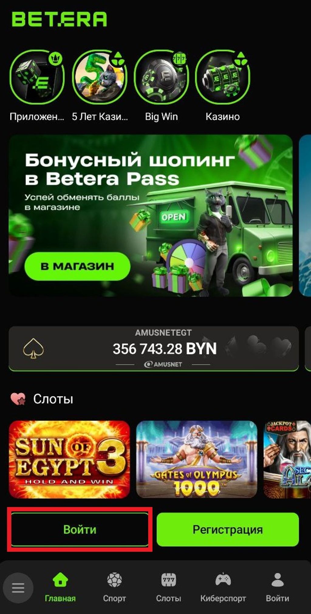 Кнопка «Войти» в мобильном софте
