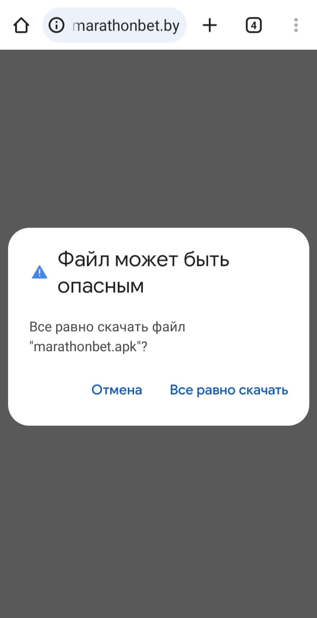 Предупреждение о возможных рисках из-за скачивания файла, это стандартная история, так как файл скачивается не из магазина приложений, рисков для смартфона нет