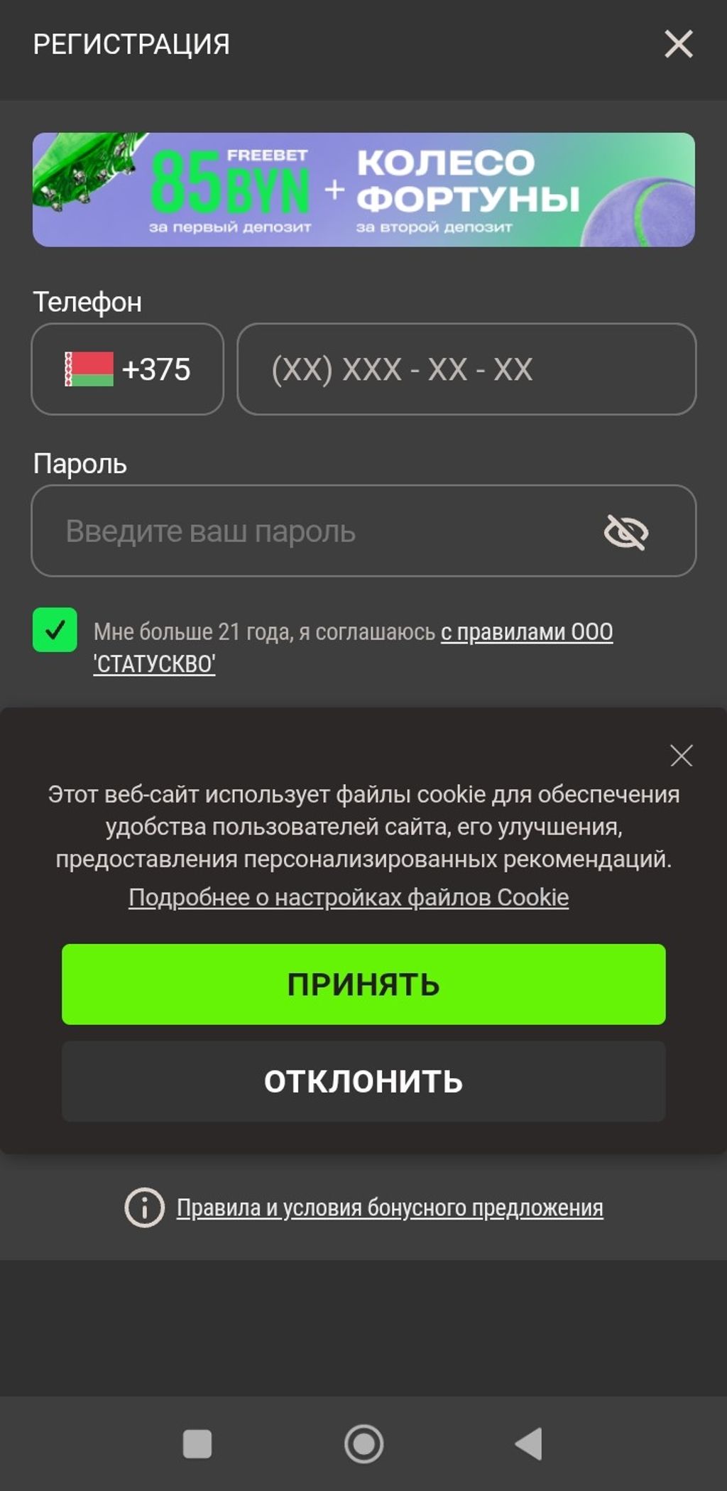 Баннер с приветственной акций на 85 BYN в регистрационной анкете