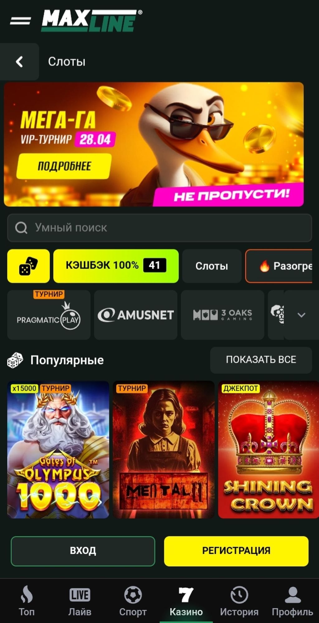 Раздел Слоты в Макслайн